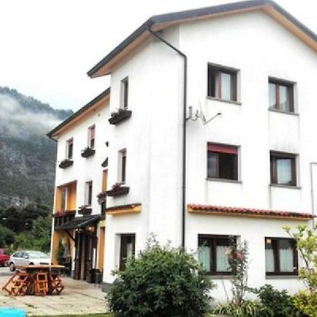 Albergo Alla Pineta Villa Santina Buitenkant foto