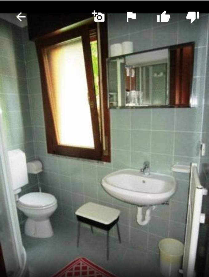 Albergo Alla Pineta Villa Santina Buitenkant foto